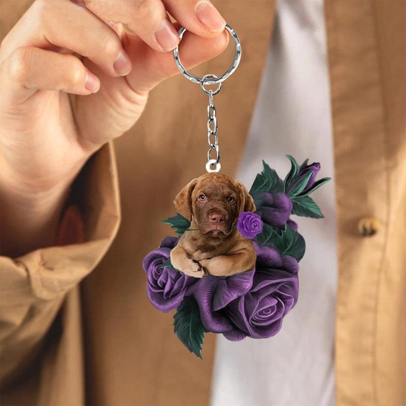 Chesapeake Bay Retriever | My Bestie Hanger - Petz Palace