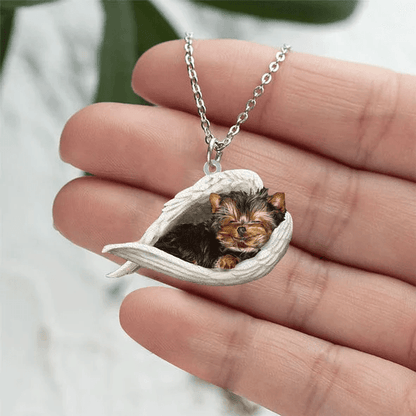 Echte Liefde | Slapende Yorkshire terrier Ketting - Petz Palace