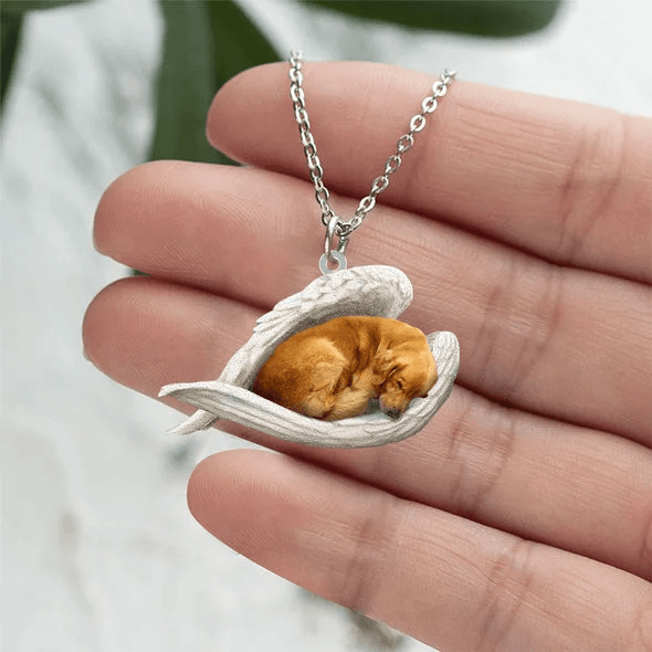 Echte Liefde | Slapende Golden retriever Ketting - Petz Palace