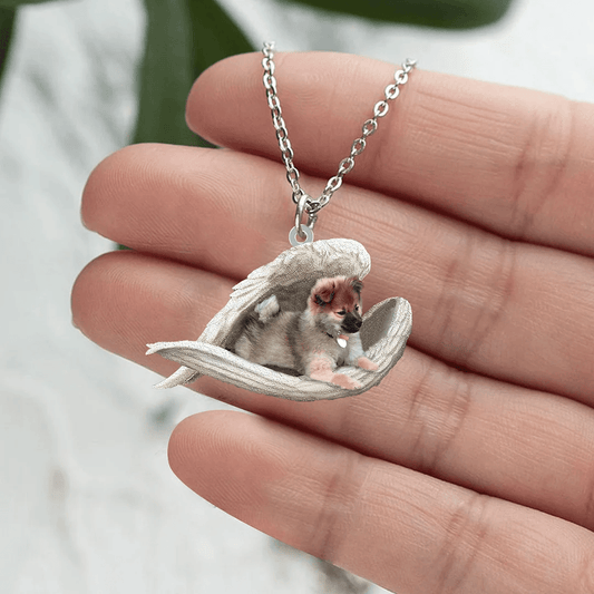 Echte Liefde | Slapende Wolf sable pomeranian/Dwergkeeshond Ketting - Petz Palace