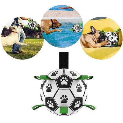 Jack | Interactieve honden bal - Petz Palace