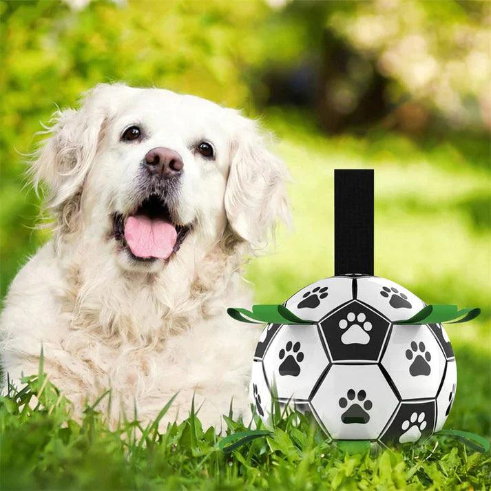 Jack | Interactieve honden bal - Petz Palace