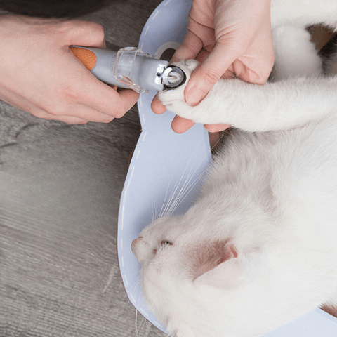 Happy | LED Nagel Knipper Voor Katten - Petz Palace