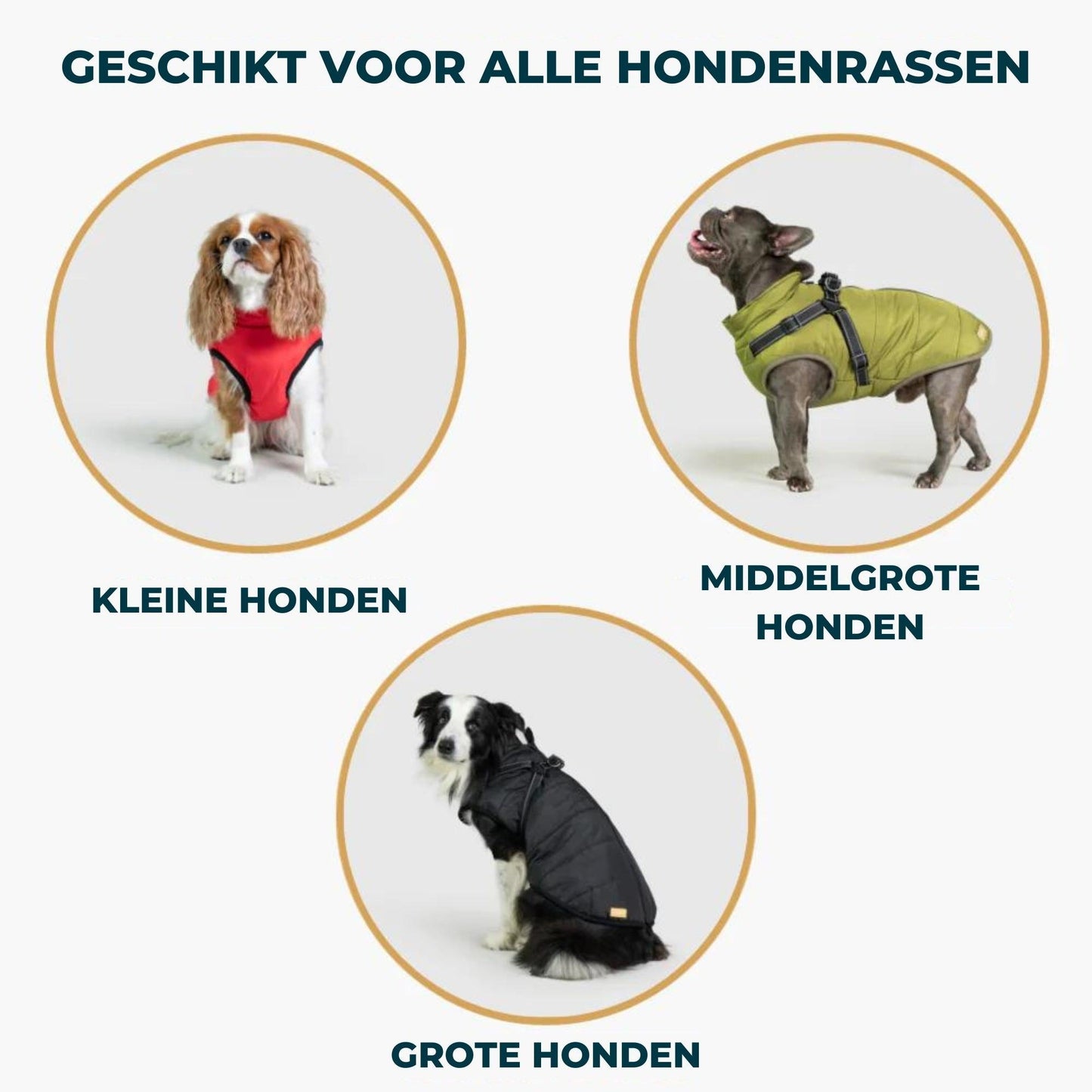 Sandy | hondenjas met Ingebouwd harnas - Petz Palace