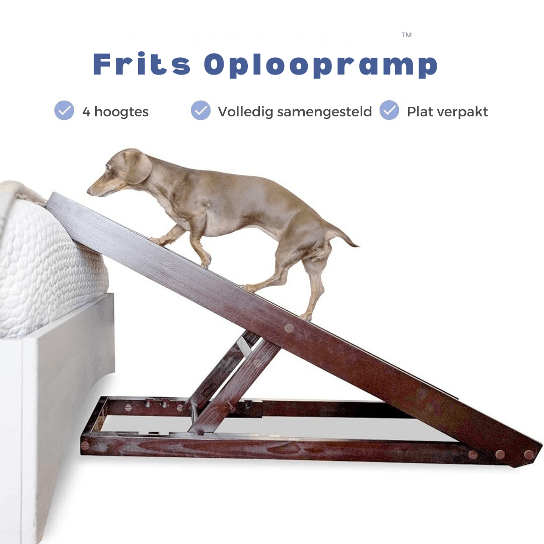 Frits | Oploopramp voor honden - Petz Palace