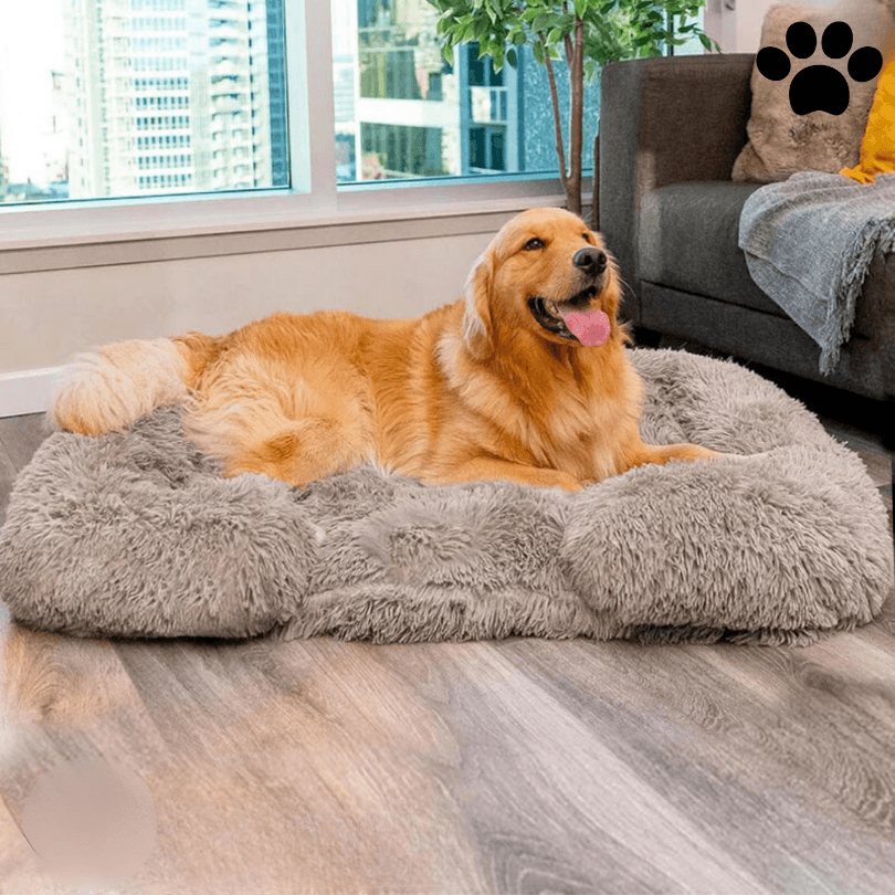 Max | Kalmerend Bed (Memory Foam) - Petz Palace