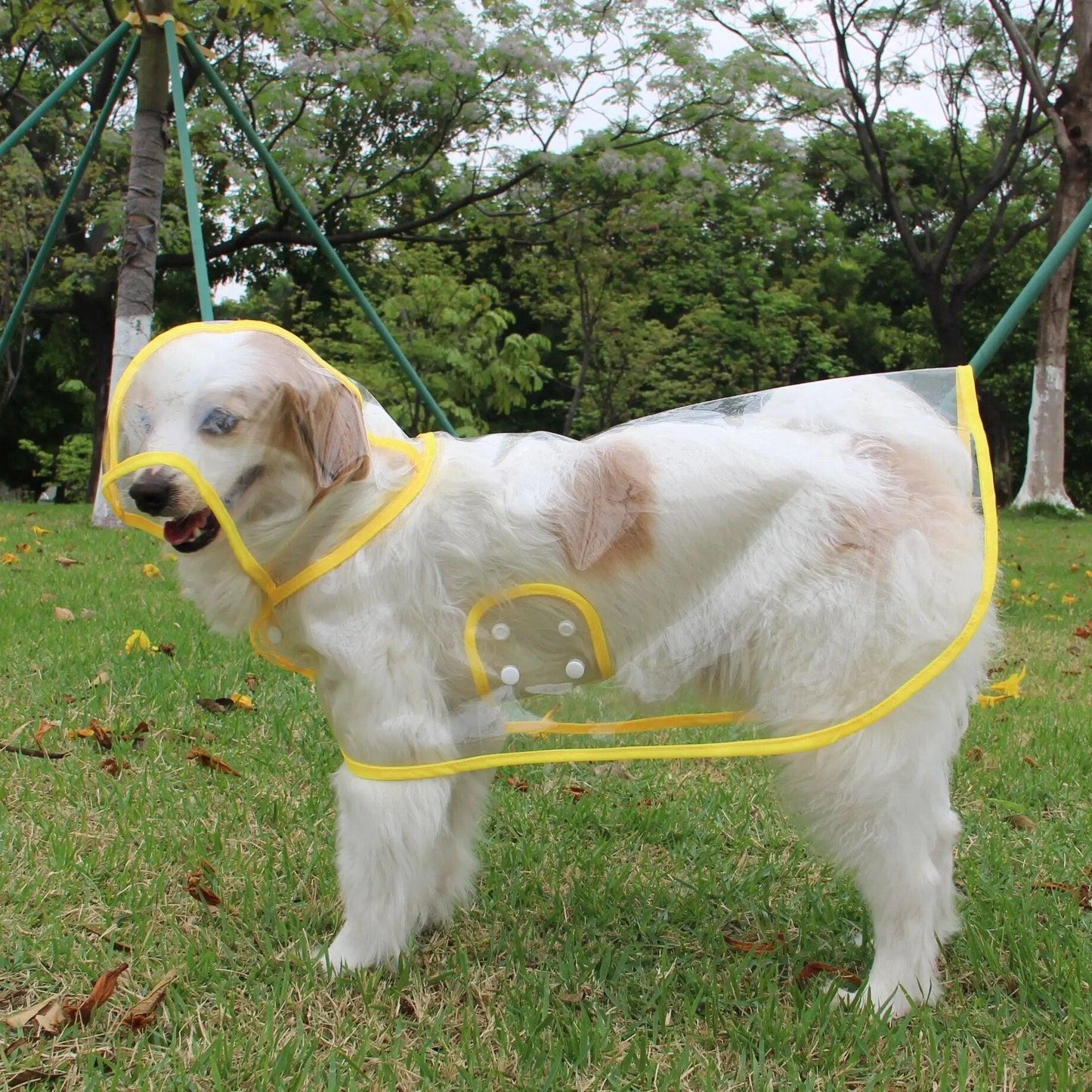 Lotje | Regenponcho voor honden - Petz Palace