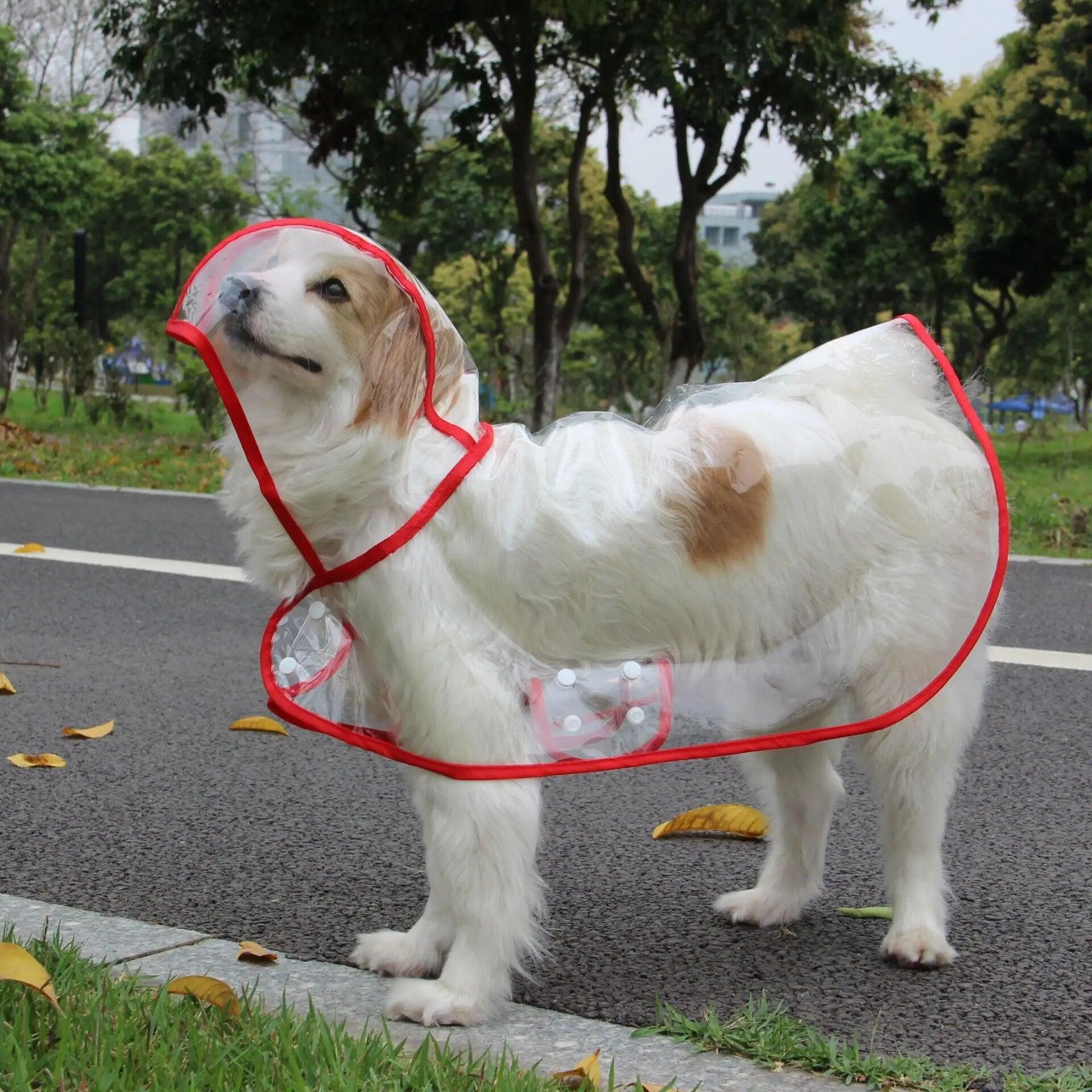 Lotje | Regenponcho voor honden - Petz Palace