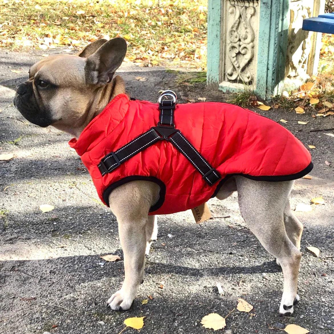 Sandy | hondenjas met Ingebouwd harnas - Petz Palace